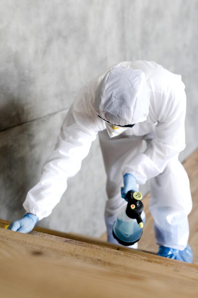 Long Beach Pest Control
